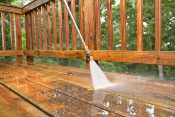 Best Exterior Home Cleaning  in Zwolle, LA